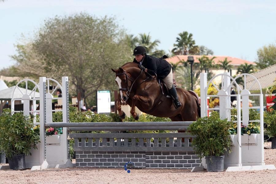 image of a girl and horse jumping over an fence obstacle