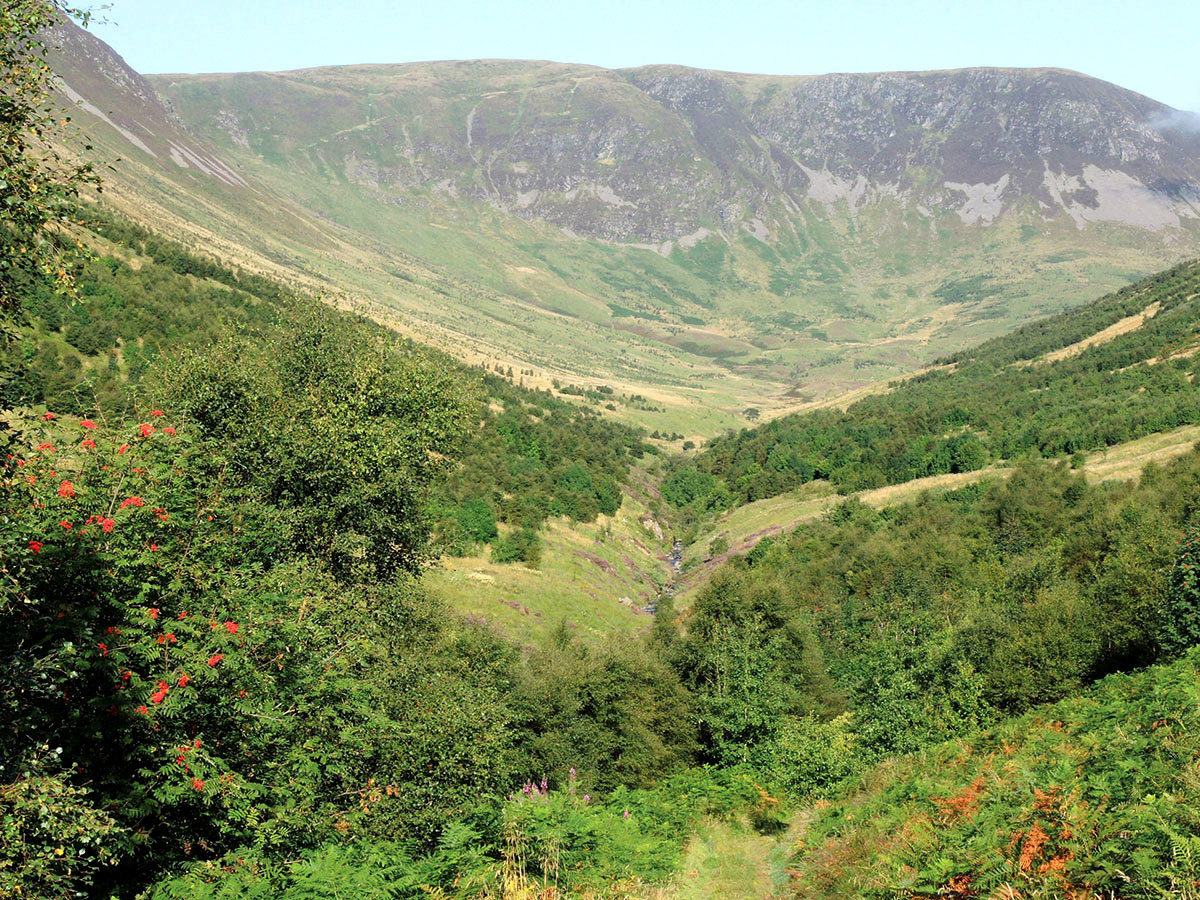 image of a beautiful green valley between mountains