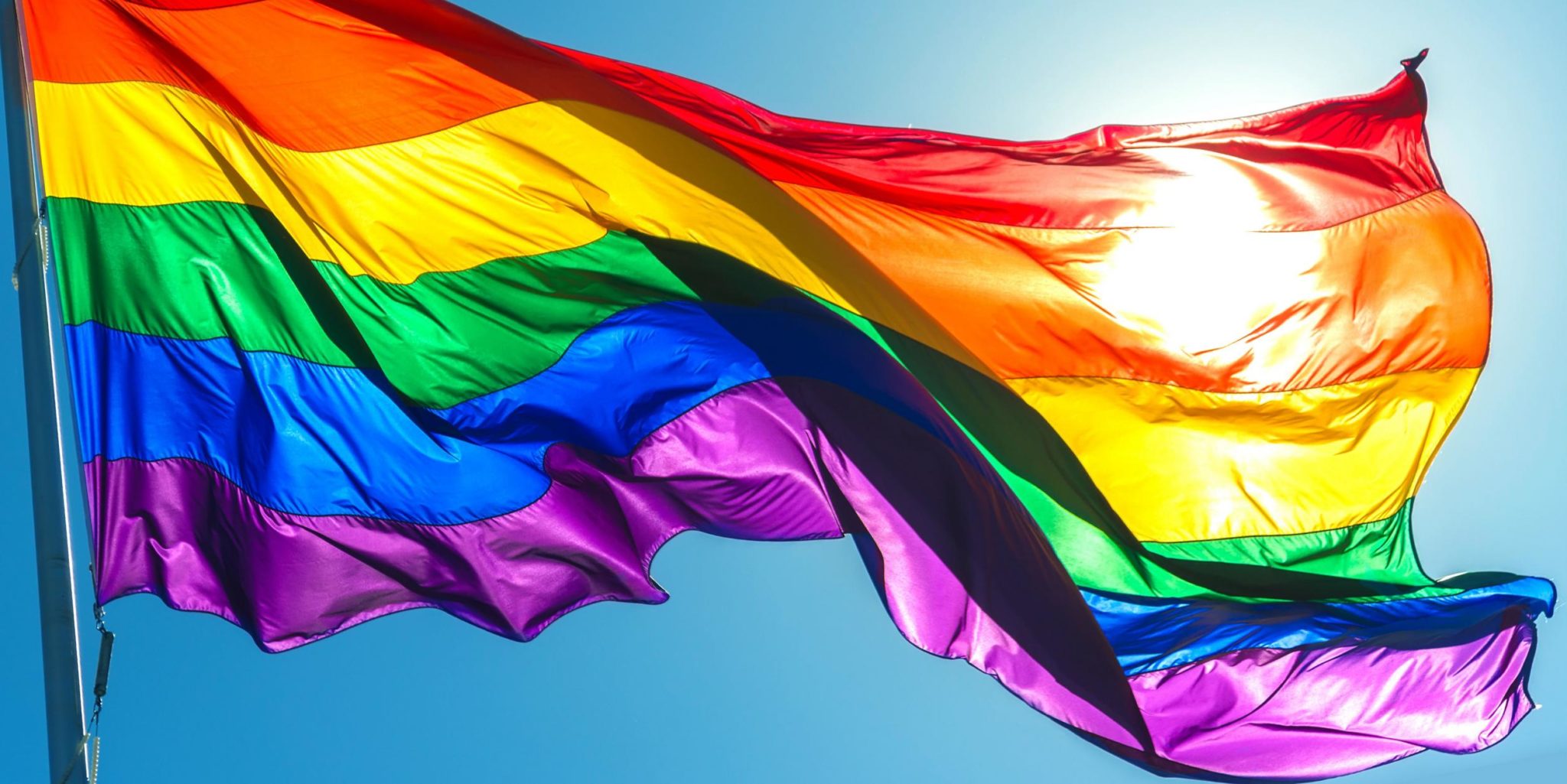 Pride Flag The Alliance For Eating Disorders Awareness Pride Flag The Alliance For Eating Disorders Awareness