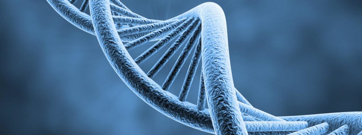 DNA molecule