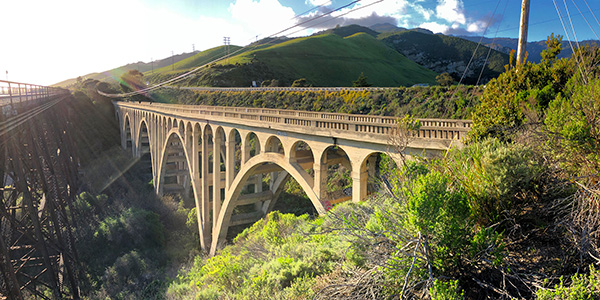 bridge surrounded by greenery