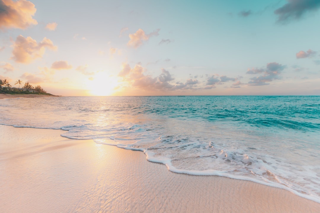 beach and ocean on a clear, sunny day