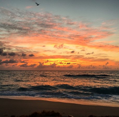 beach and ocean at sunset