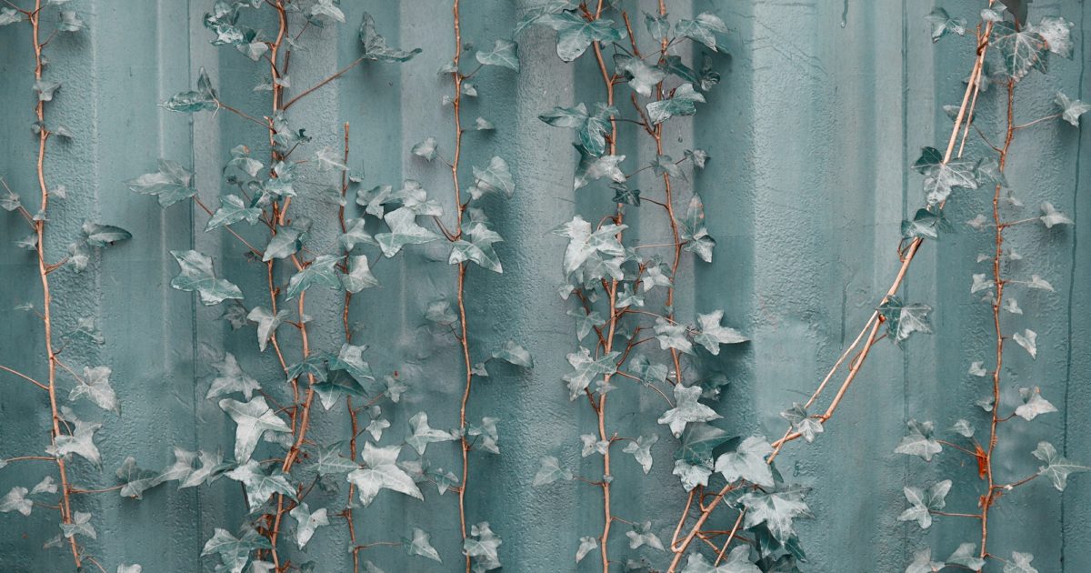 blue leaves on blue background