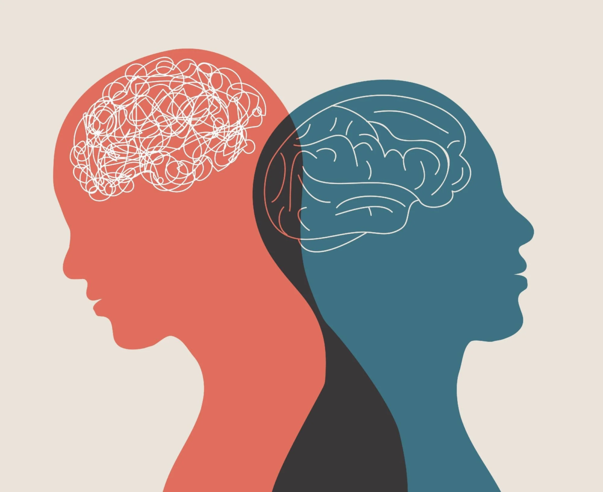 two silhouettes of people with white outlined brains