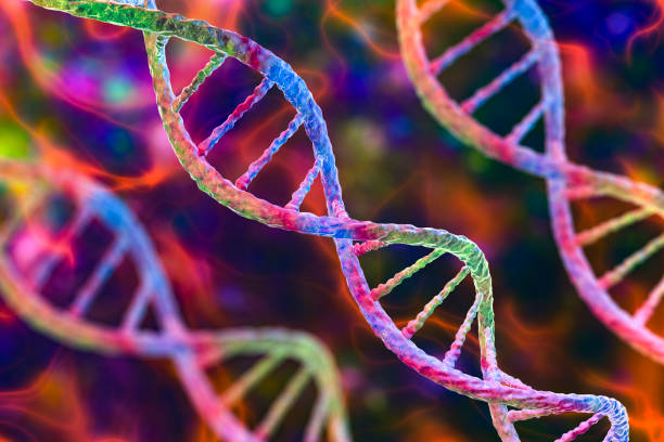 Molecule of DNA, double helix, 3D illustration.