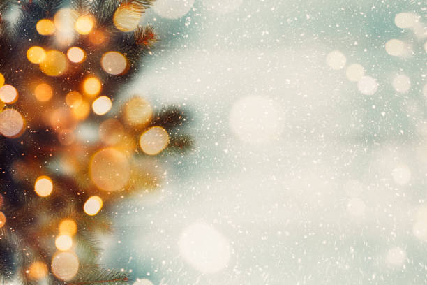 Fir branches with lights bokeh. Soft focus