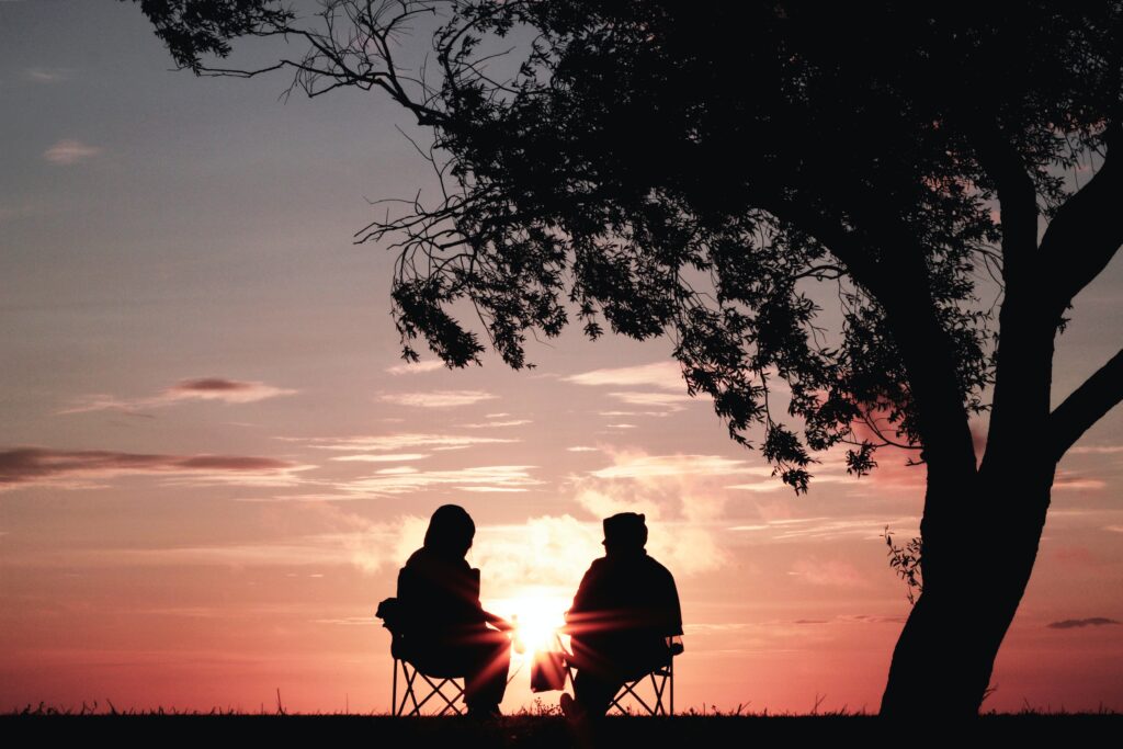  silhouette of two person sitting on chair near tree 