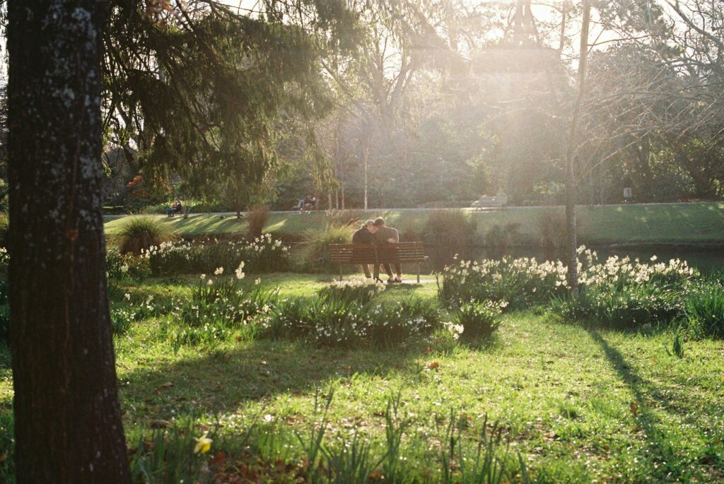 A horse is grazing in a grassy field