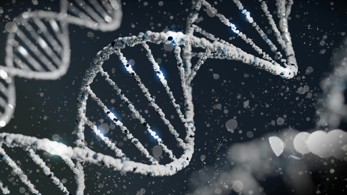 Stylized drawing of a DNA double helix