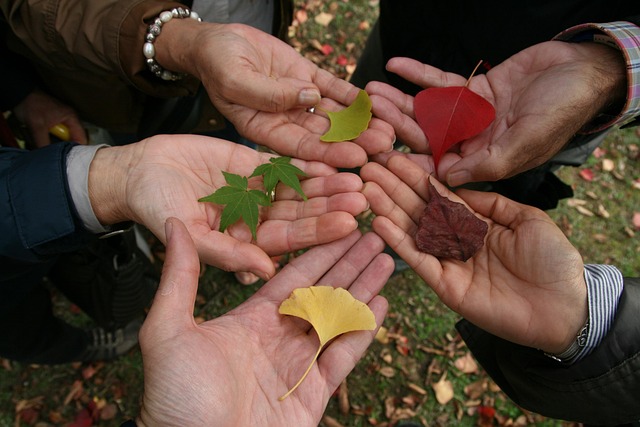 a group of 5 people hold out leaves in their hands, only their hands are visible