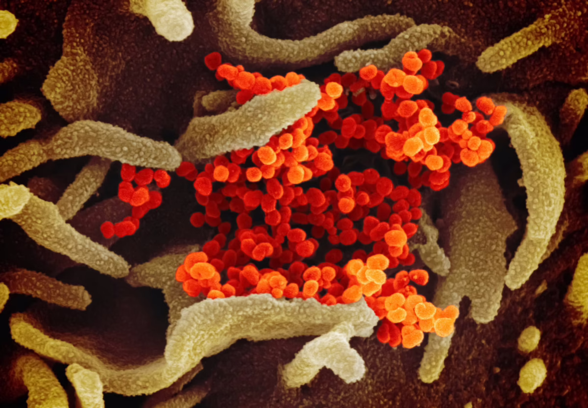 Illustration of bacteria and an unknown substance