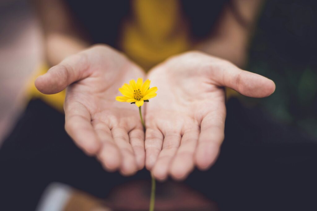 Open hands holding a small yellow flower